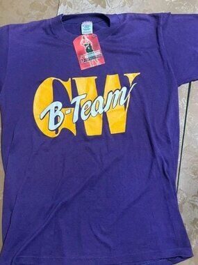 Vintage 90s Jerzees Single Stitch T-Shirt Purple Mens L